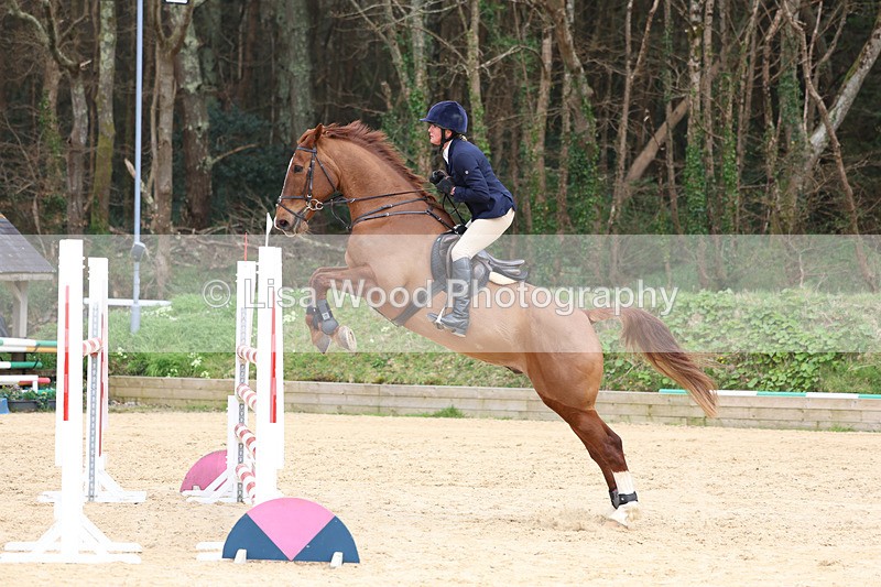 3E7A7773 - Class 9: Senior Foxhunter/1.20 open