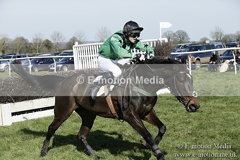 PtP 260317 299 - Mendip Farmers Point-to-Point Ston Easton 26/03/17