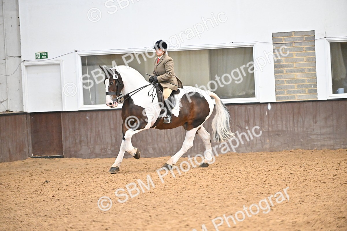 SBM_002647 - Class 28,29 - Ridden Irish & Coloured