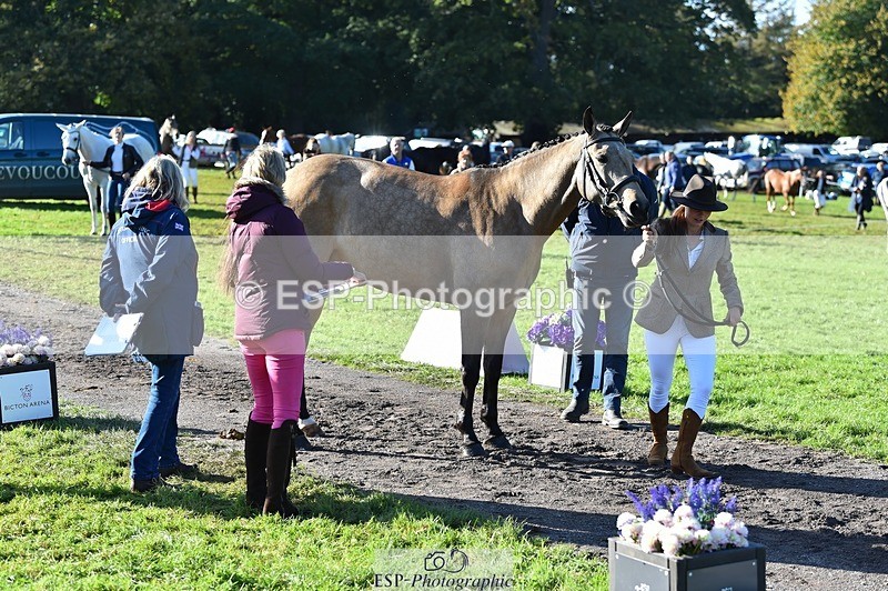 231022-110814-23745 - 498-SILVERLININGS.APHRODITE-Emily.Dobson-TrotUp+SJ