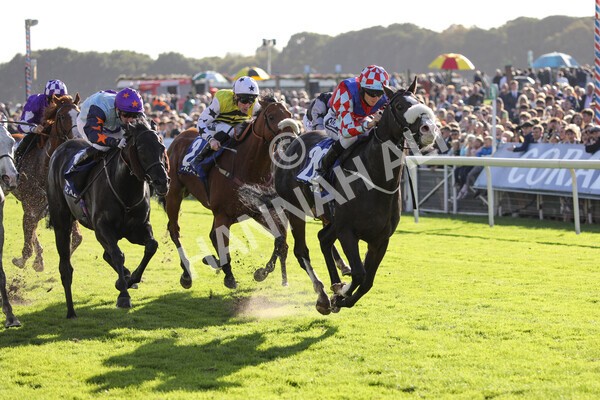 yr08102022r4-29 - Race 4 3.15pm The Coral Sprint Trophy