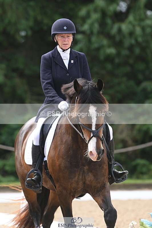 250720A-115453-10065 - 079-Amanda.Williams-Llanarth.Westminster