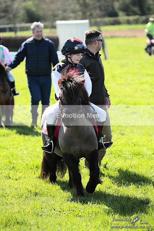 Shet 060426 354 - Shetland Pony Racing Paxford Races Easter Mon 06/04/26