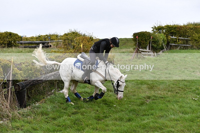 WJ5_6447 - Time 12:22 to 12:55