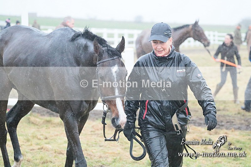 PtP 101223 667 - New Forest Hounds PtP Larkhill 10/12/23