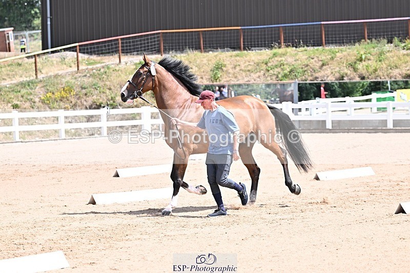 250716-124704-00163 - Trot Up 12.30 to 1.30