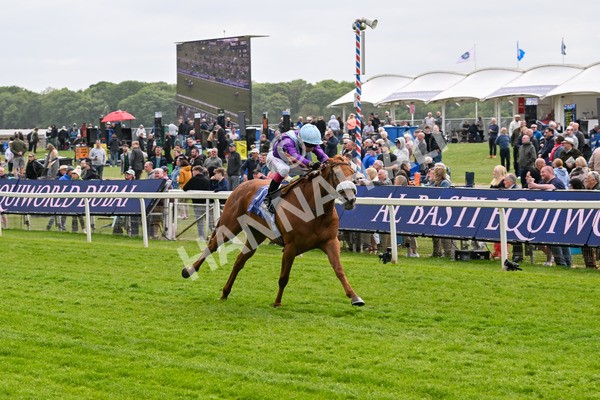 150525-See The Fire-4463 - Race 3 3.13pm Al Basti Equiworld Dubai Middleton Fillies' Stakes