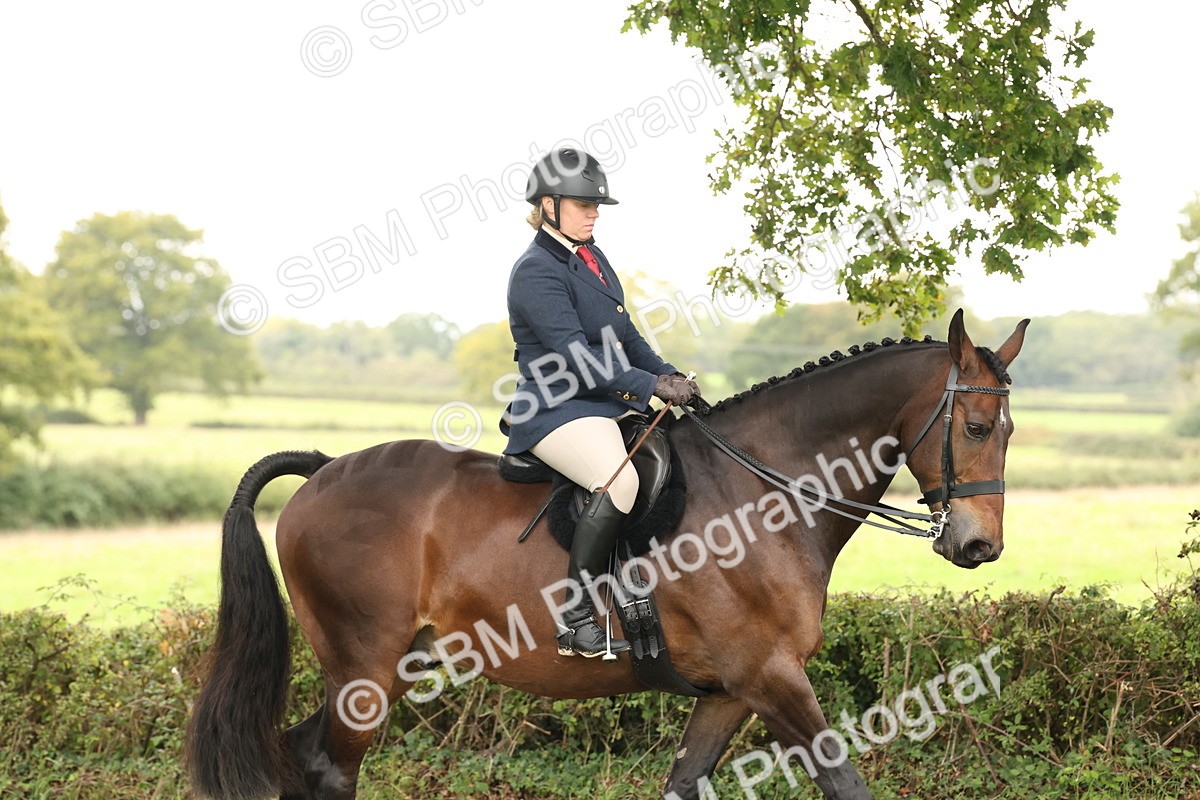 SBM_66273 - S66 - Hunter Ridden