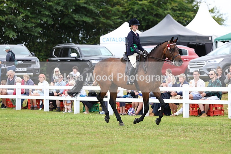 3E7A1304 - Class 8: Open Riding Horse/Hack