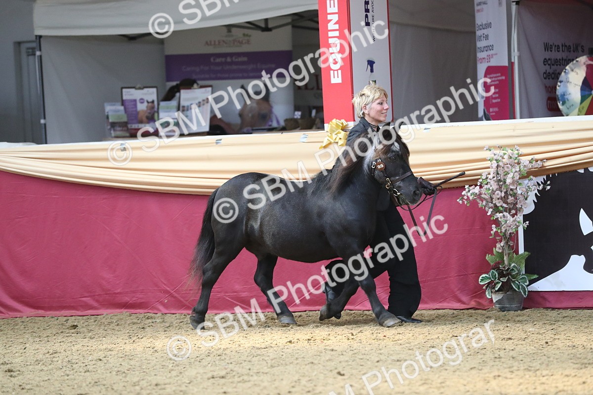 SBM_15172 - Class 501 M&M IH Supreme Final