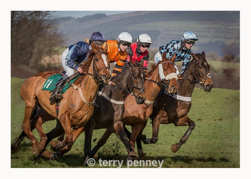 South Pool Harriers Point-to-Point Steeplachases - Equestrian Sport