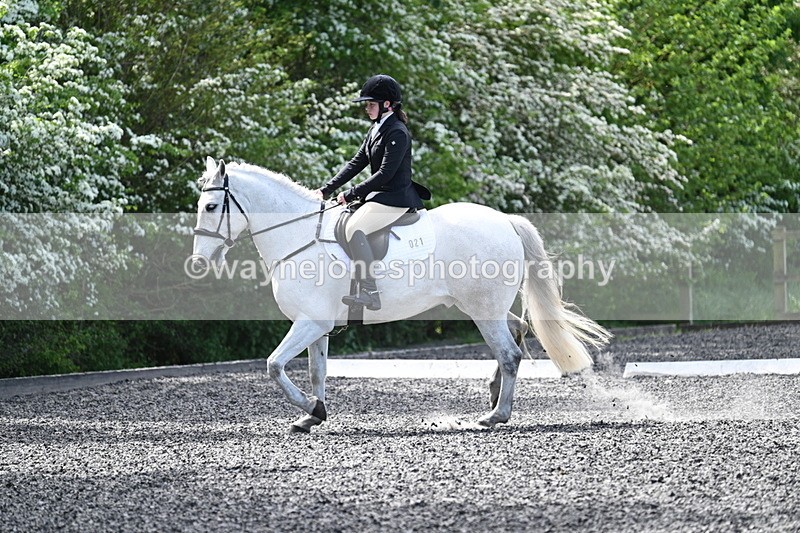 WJ7_8822 - Time 11:32 to 11:54