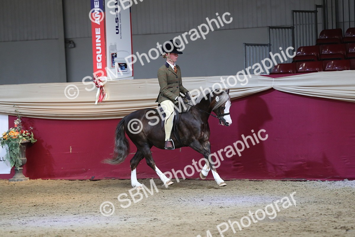 SBM_07211 - Class 10R Regional Ridden Diamond