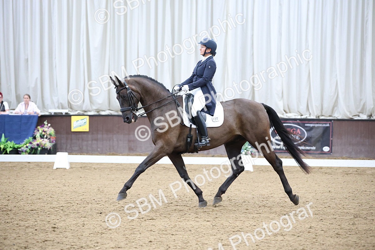 SBM_004702 - Class 9 - FEI Inter 1 Gold - 16.59-17.47