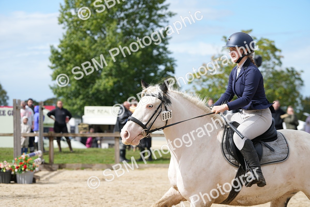 SBM_40053 - J6 - Junior Pony 55cm Championship