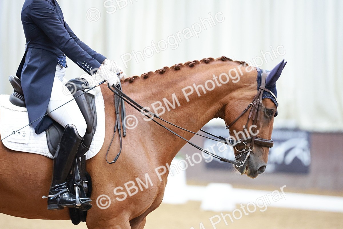 SBM_016347 - Class 5 - FEI INT II - 17.24-18.20