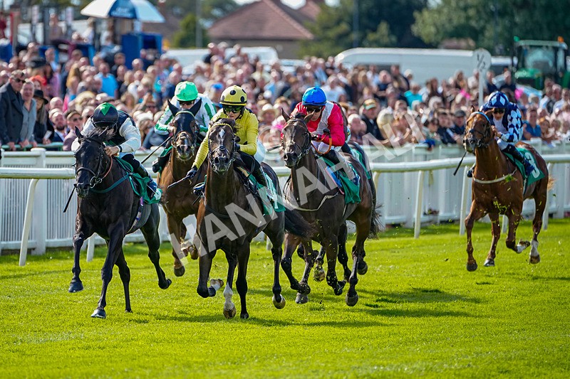 050926-Race 2-This Moment-1 - Race 2 2.05pm JW4X4 Northallerton Nursery Handicap