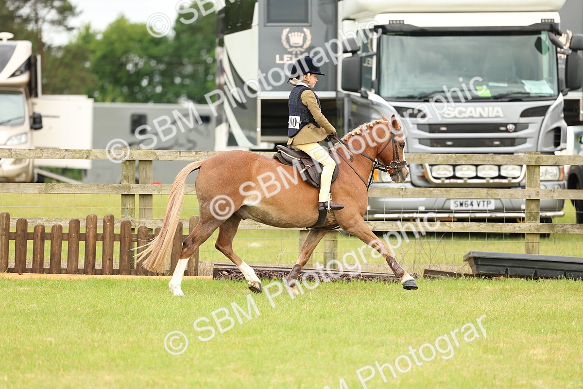 SBM_10242 - Class 44-45 - LIHS BSPS Open Nursery and Cradle Stakes