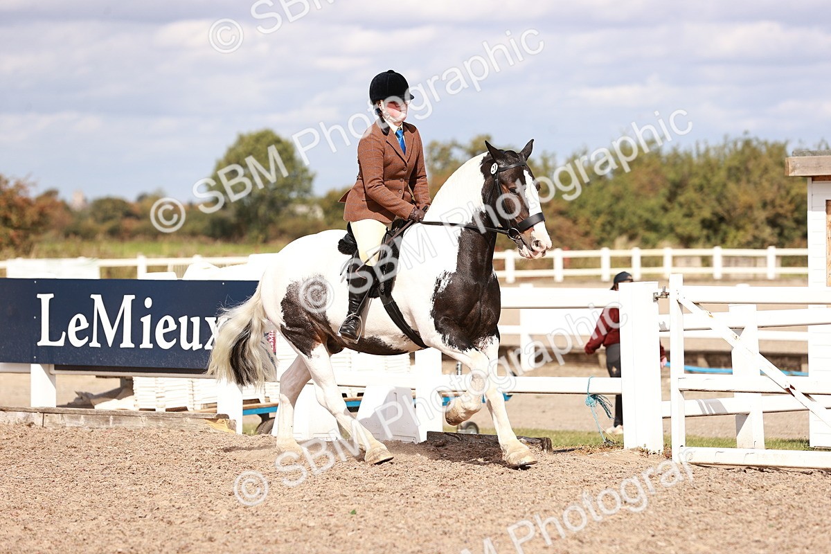 SBM_14429 - Class 410 - Grassroots Ridden - Horse