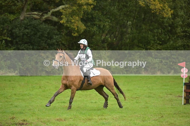 RAY_0560 - Class 5: 90cm Double of Brushes