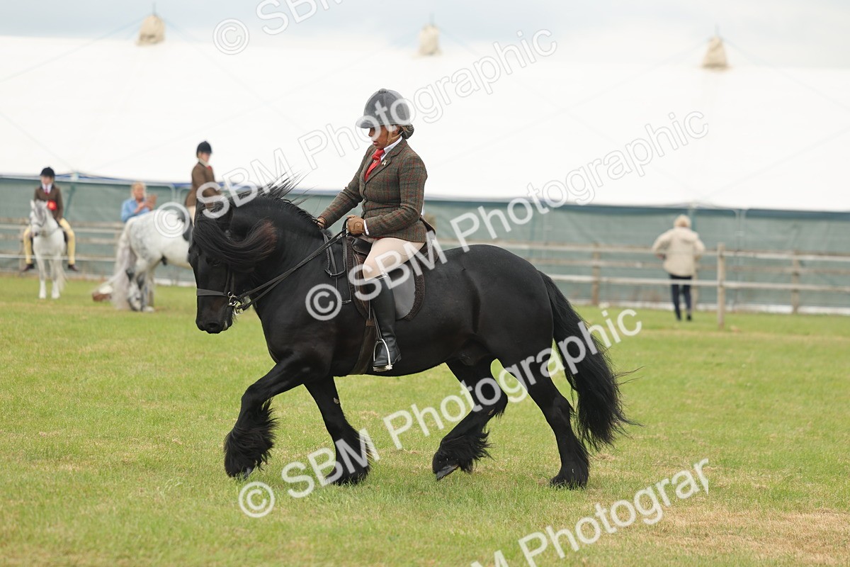 SBM_08968 - Class 78-80 - Ridden M&M Non Welsh Ponies