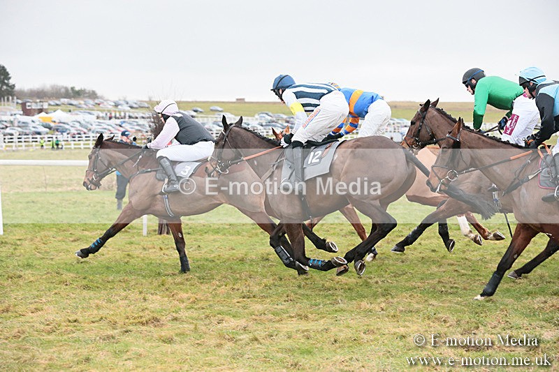 PtP 230119 344 - Royal Artillery Point-to-Point  - Larkhill  - 26/01/19