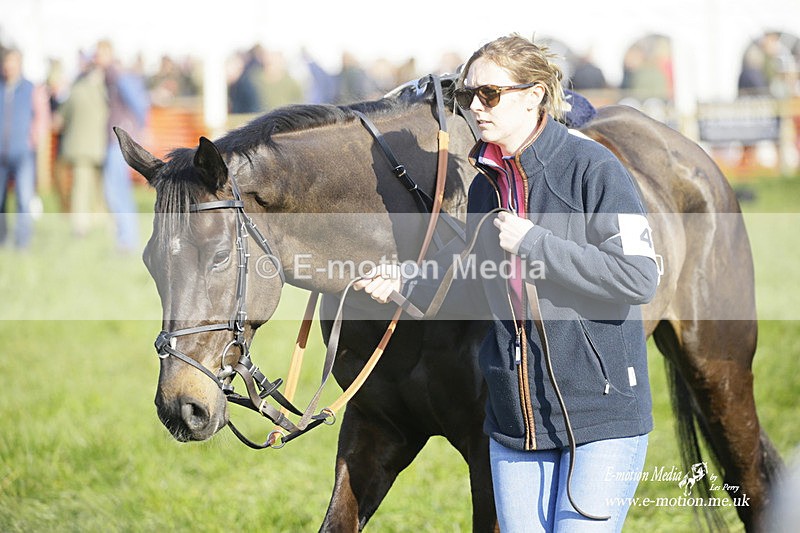 PtP 200322 408 - Mendip Farmers Point-to-Point 20/03/22
