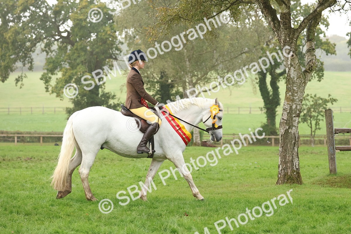 SBM_73188 - Super Supreme Championship(Sun)