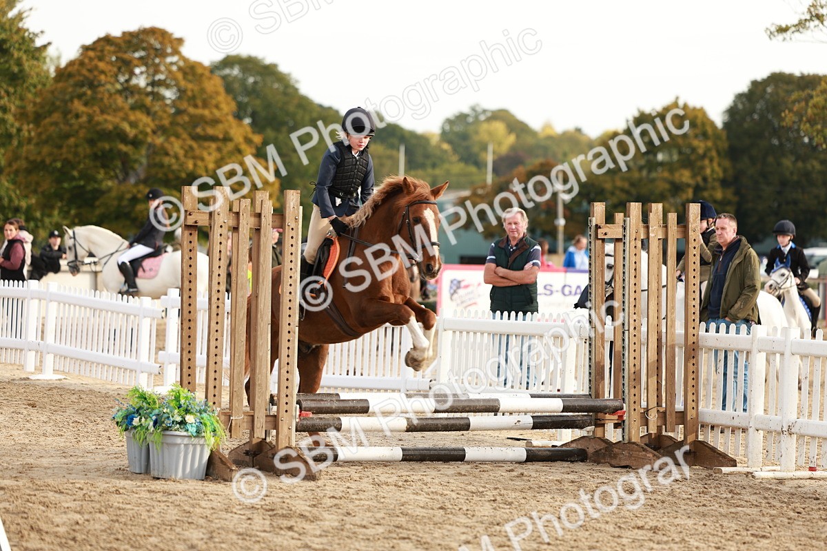 SBM_55656 - J11 - Junior Pony 50cm Championship