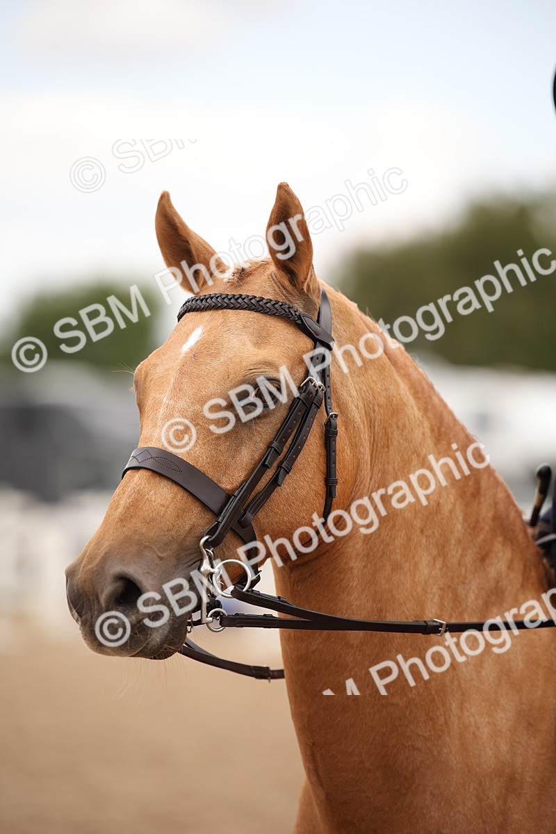 SBM_05438 - Class 22 SSA Equitation