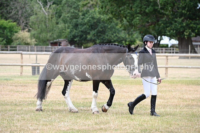 WJ6_4552 - Class 10 Coloured In-hand