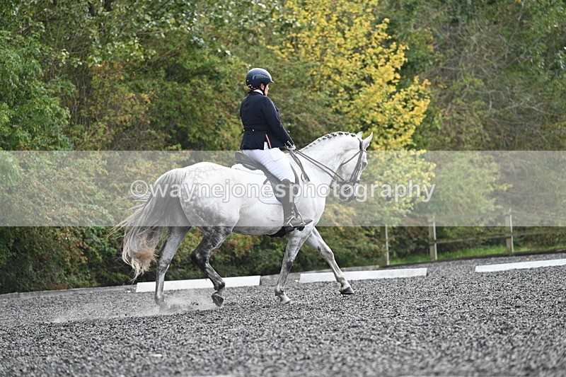 WJ7_6908 - Time 14:49 to 15:14