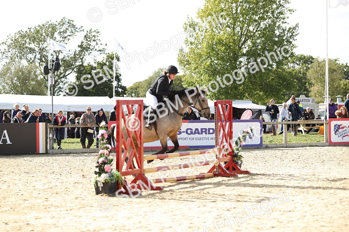 SBM_49540 - J22 - Junior Horse 65cm Championship
