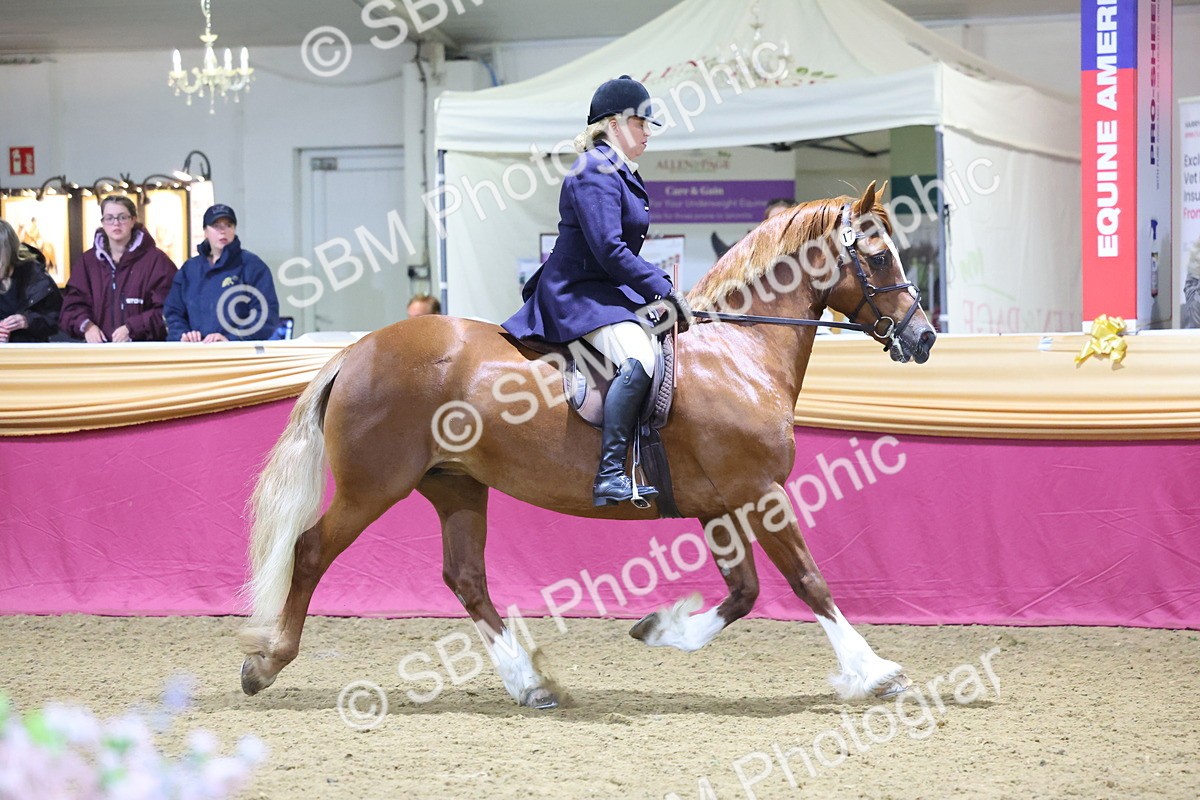 0B8A4603 - Class Q Style & Performance Champ