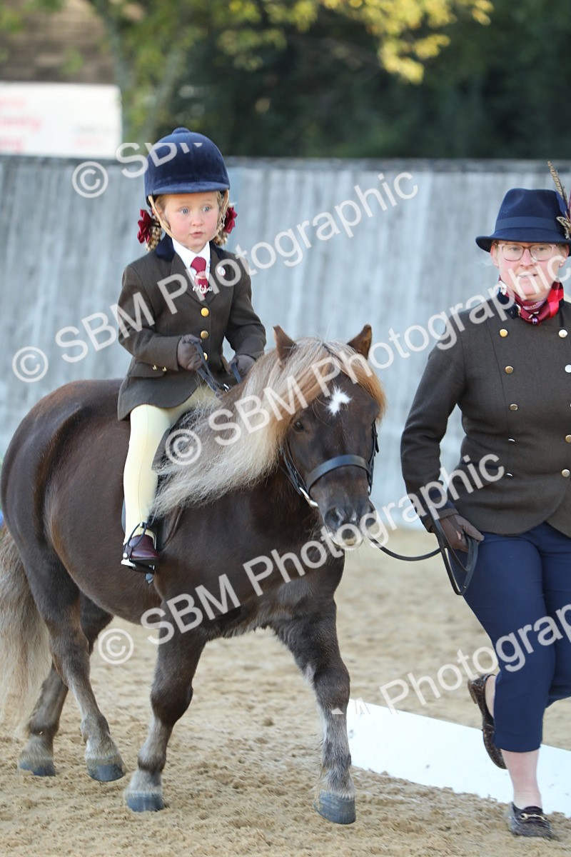 SBM_33540 - D26 - Starers - Lead Rein