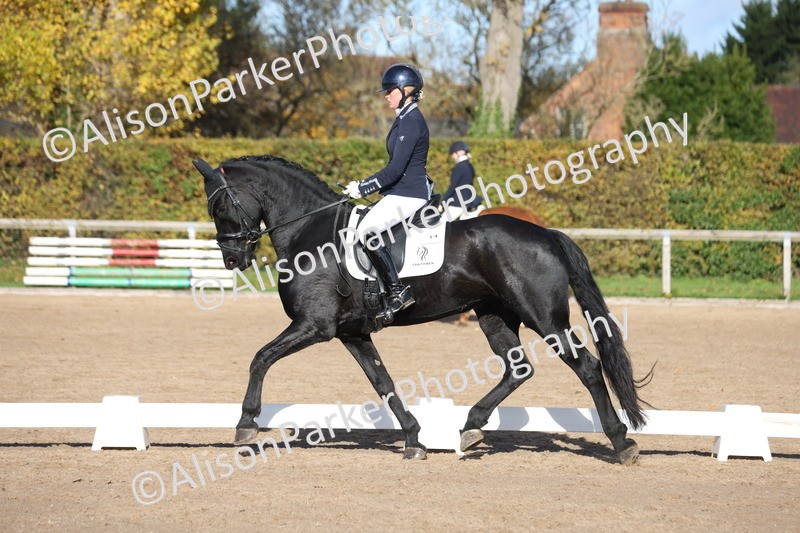 20251102-0619 - Class 4 - Novice 6