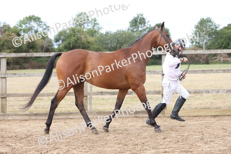 20260831-1917 - Class 5 - Retraining of Racehorses