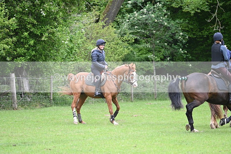 WJ7_2743 - Group 8 A&B Cameras