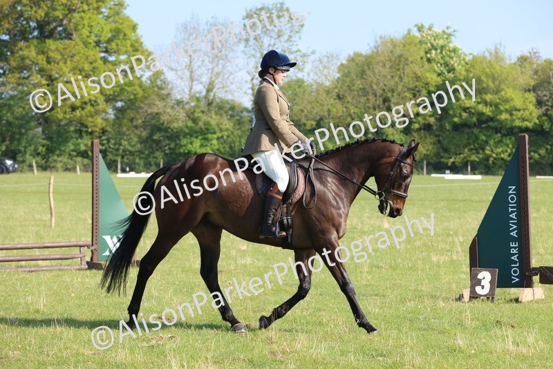 20250427-0560 - Class 17 - Novice Showing