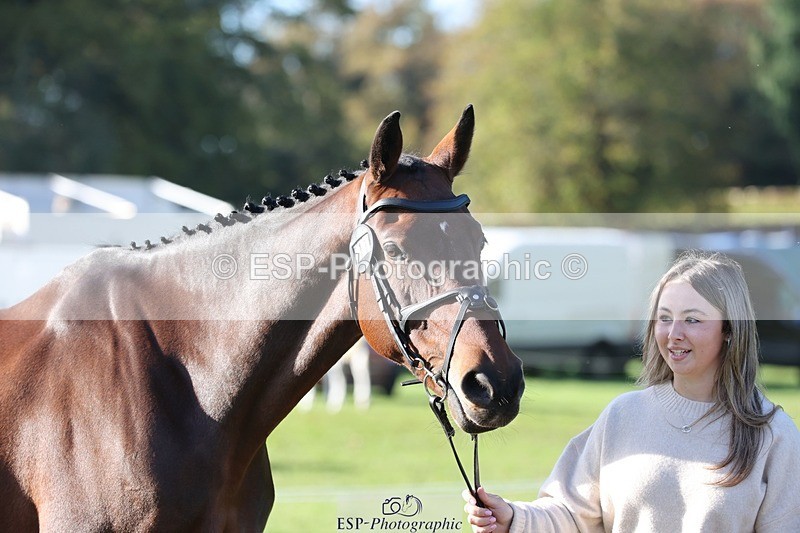 241027-100351-15668 - 511-Rosie.Doe-LOUIS