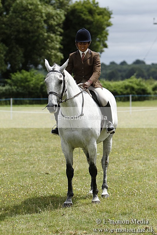 BVR160717-1830 - Ring 3 BVRC Show 16/07/17