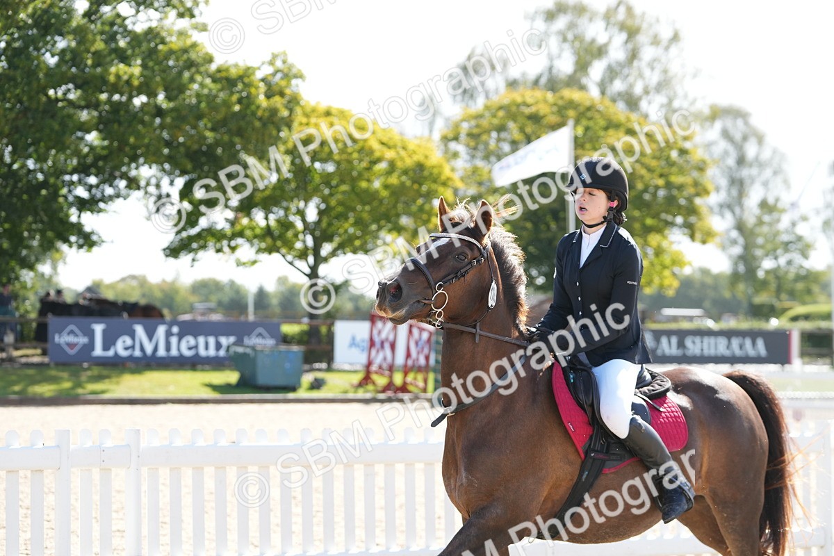 SBM_38450 - J6 - Junior Pony 55cm Championship