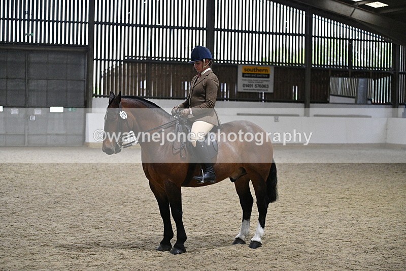 WJ7_3965 - Class 17 Ridden Cob