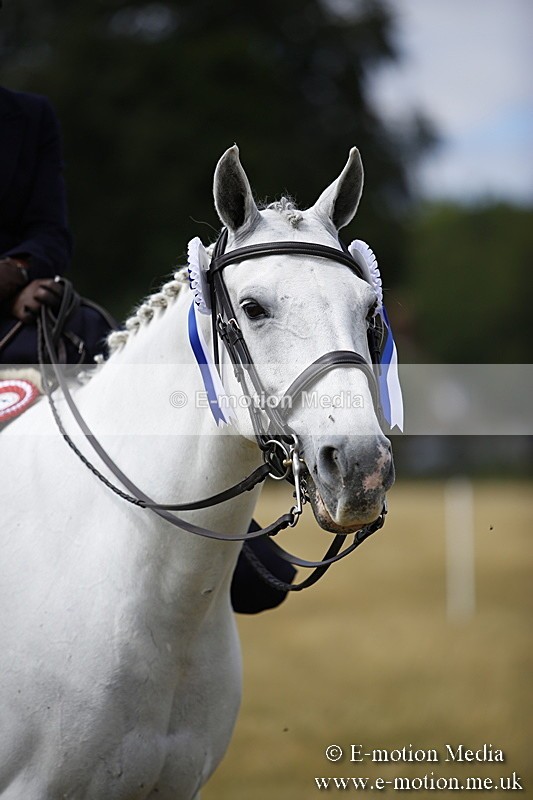 _C7A0313 - Side Saddle Classes BVRC Show 2018