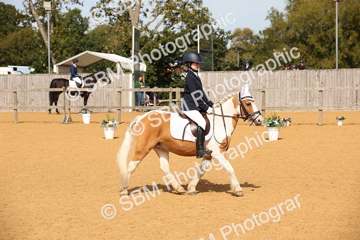 SBM_21795 - D5 - Small Tour Championship - Intro C