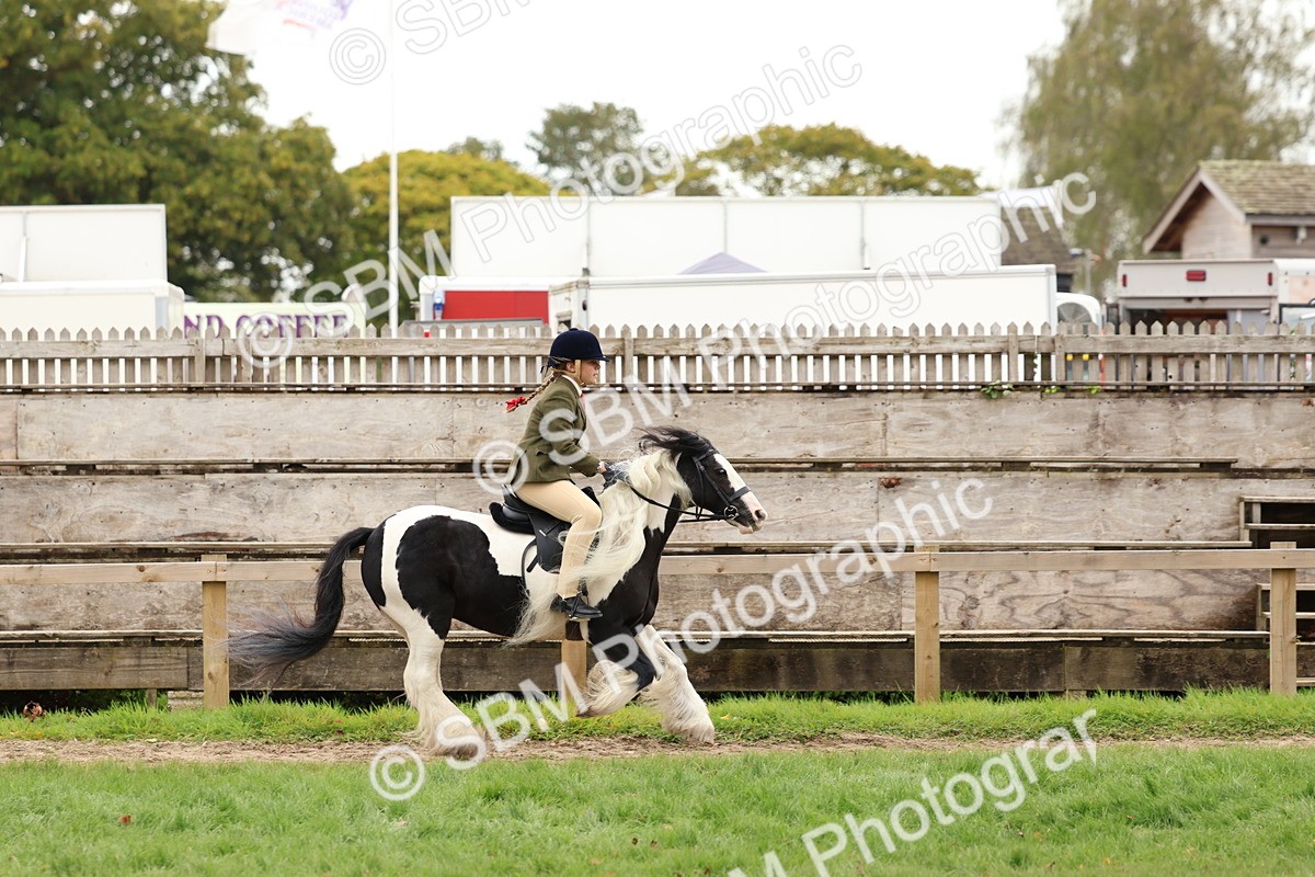 SBM_64525 - S58 - Coloured Pony Ridden