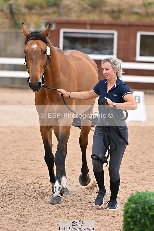 250716-143445-01222 - Trot Up 2.30 to 3.30