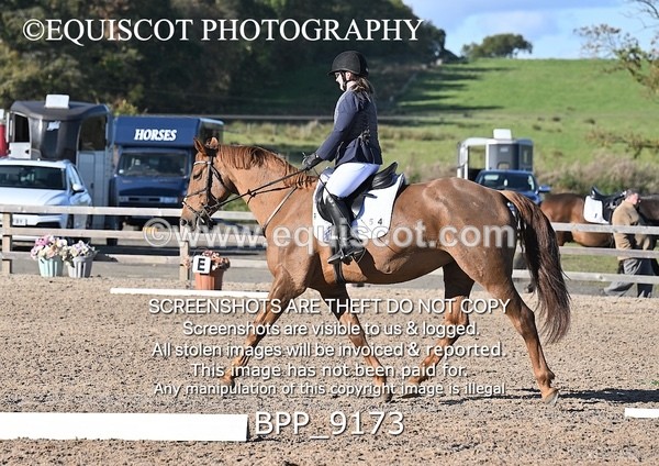 BPP_9173 - SHORT ARENA