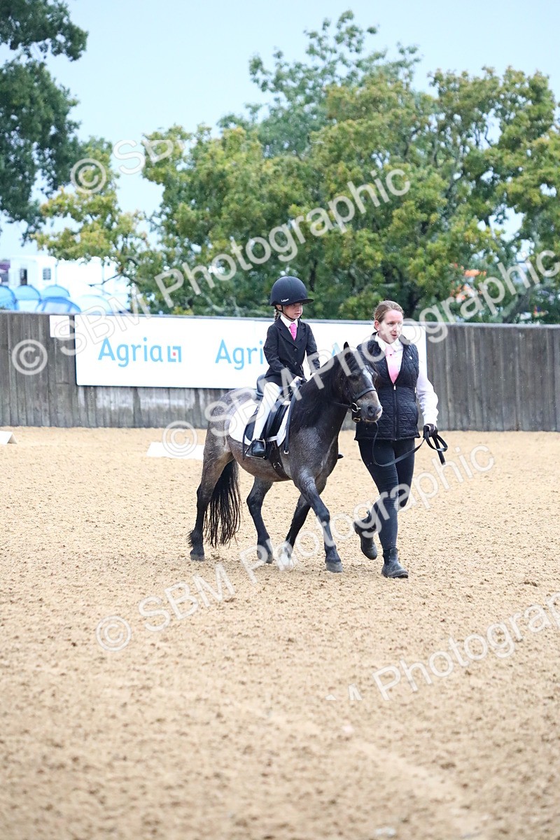 SBM_34626 - D26 - Starters Lead Rein