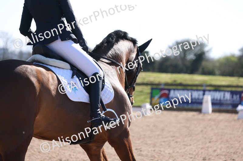 20260318-0453 - Class 5 - Novice 2